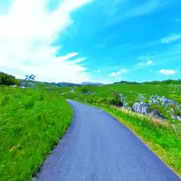 平尾台自然観察センターの写真・動画_image_318408