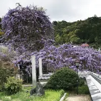 徳島駅の写真・動画_image_318414