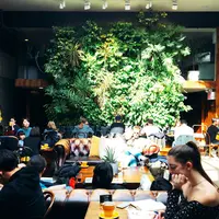 Devocionの写真・動画_image_318616