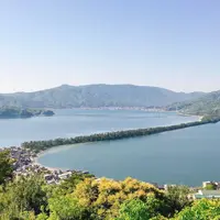 傘松公園の写真・動画_image_318631