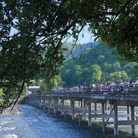 渡月橋の写真・動画_image_318638