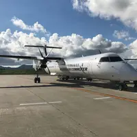 新石垣空港（南ぬ島石垣空港）の写真・動画_image_318836