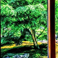 長寿寺の写真・動画_image_318872