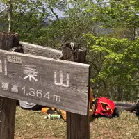 川苔山の写真・動画_image_318887