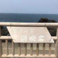 潮吹岩の写真・動画_image_318920