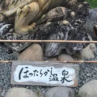 ほったらかし温泉の写真・動画_image_319400