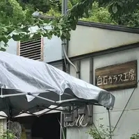 白石ガラス工房の写真・動画_image_319411