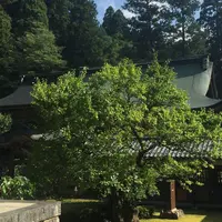 大本山永平寺の写真・動画_image_319662