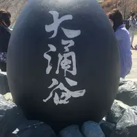 大涌谷の写真・動画_image_320311