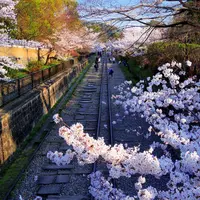 蹴上インクラインの写真・動画_image_320495