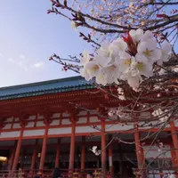 平安神宮の写真・動画_image_320586