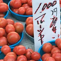 日曜市の写真・動画_image_320702