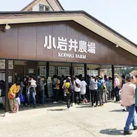 小岩井農場の写真・動画_image_320939