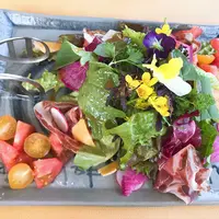 【移転】チェロステラート ウィンザーの写真・動画_image_321070