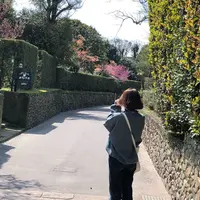 知覧武家屋敷庭園群の写真・動画_image_321277