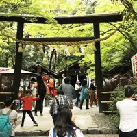 野々宮神社の写真・動画_image_321352