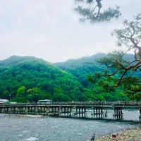 渡月橋の写真・動画_image_321434