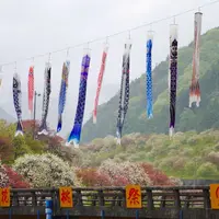 月川の写真・動画_image_321576