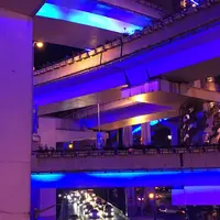 上海の写真・動画_image_321610