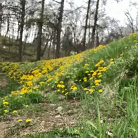 茂岩山自然公園の写真・動画_image_322170