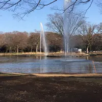 代々木公園の写真・動画_image_322218