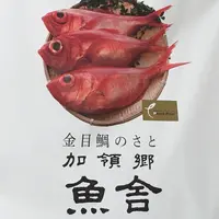 加領郷の写真・動画_image_322712