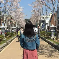 段葛の写真・動画_image_322848