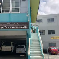 ダイビングスクール マレア沖縄・那覇店の写真・動画_image_322961