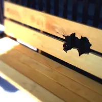 第五十番繁多寺の写真・動画_image_323076