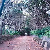 酒列磯前神社の写真・動画_image_323131