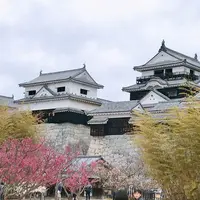 松山城の写真・動画_image_323283