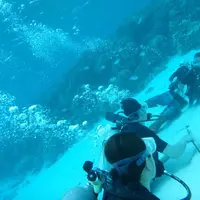 Manyagaha Island（マニャガハ島）の写真・動画_image_323342