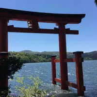 箱根神社の写真・動画_image_323346
