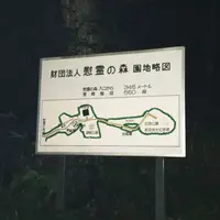 慰霊の森の写真・動画_image_323625