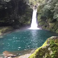 仁淀川の写真・動画_image_323902