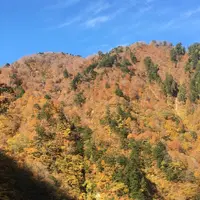黒部峡谷鉄道の写真・動画_image_324029