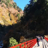 奥鐘橋の写真・動画_image_324041