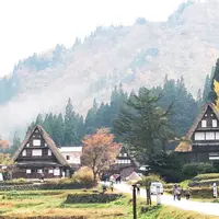相倉合掌造り集落の写真・動画_image_324045
