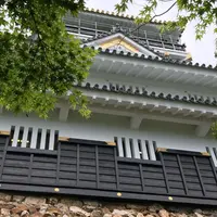 岐阜城の写真・動画_image_324293
