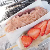 最上川千本だんごの写真・動画_image_324559