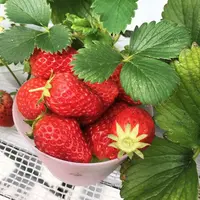 うららか・のうえん実里の写真・動画_image_325120