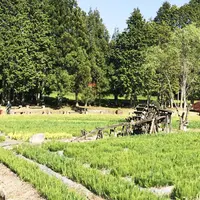 永沢寺花しょうぶ園の写真・動画_image_325126
