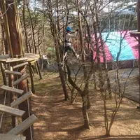 那須の森の空中アスレチック『NOZARU』の写真・動画_image_325586