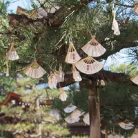 智恩寺の写真・動画_image_325643