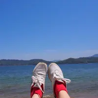 天橋立の写真・動画_image_325658