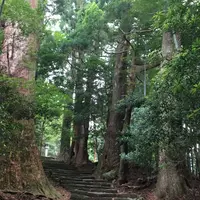 那智の滝の写真・動画_image_326072