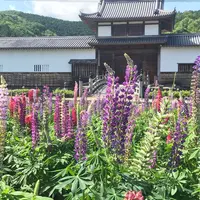 三日月藩乃井野陣屋館の写真・動画_image_326203