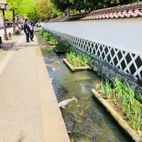 殿町掘割の写真・動画_image_326290