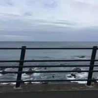今治市の写真・動画_image_326347