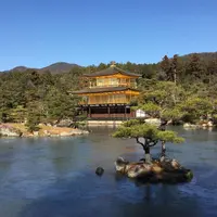 京都世界遺産巡りの写真・動画_image_326469